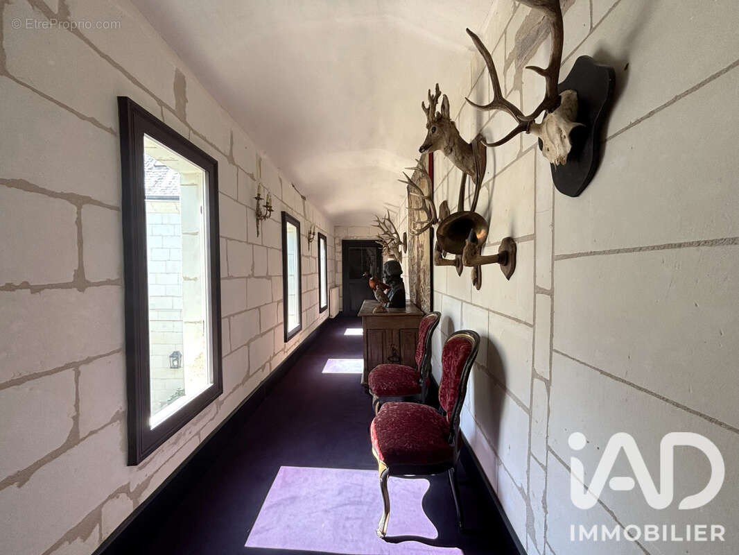 Maison 350 m² à Loches  - photo 9