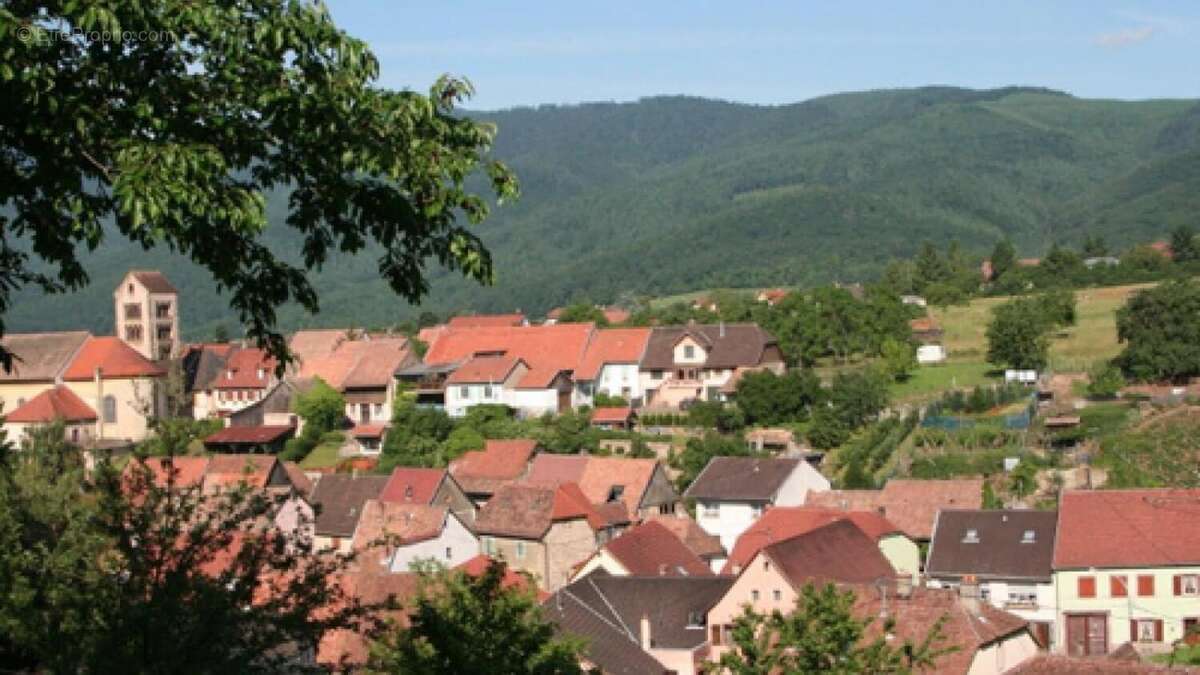 Photo 3 - Terrain à OSENBACH
