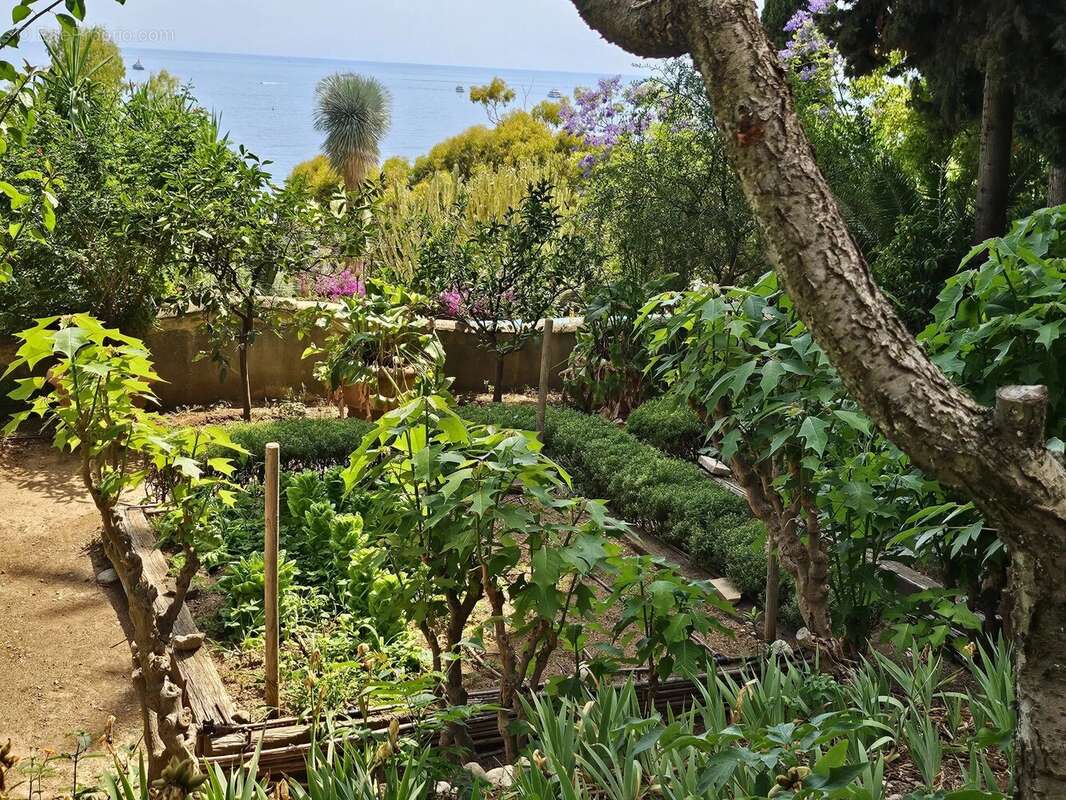 Maison à ROQUEBRUNE-CAP-MARTIN