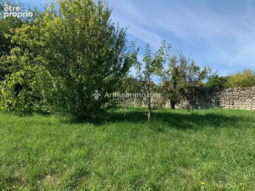 Vente Terrain Aulnay(17470) 7 900ï¿œ - photo 5