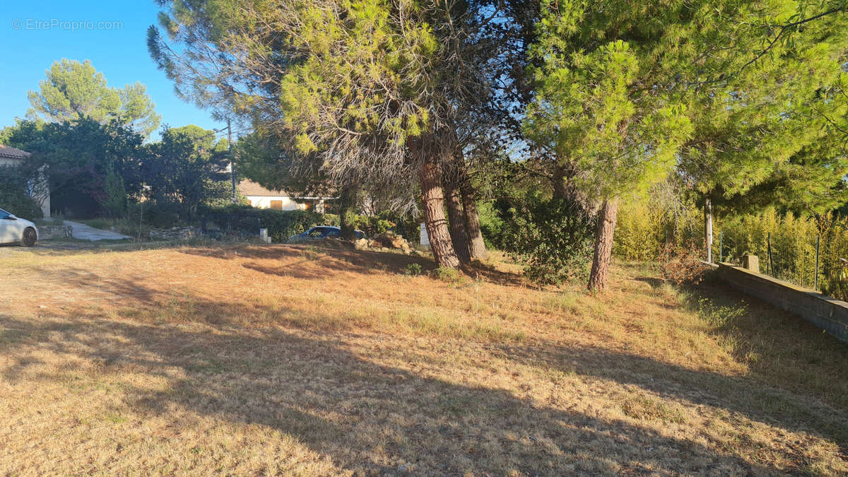 Terrain à SAINT-PONS-DE-MAUCHIENS