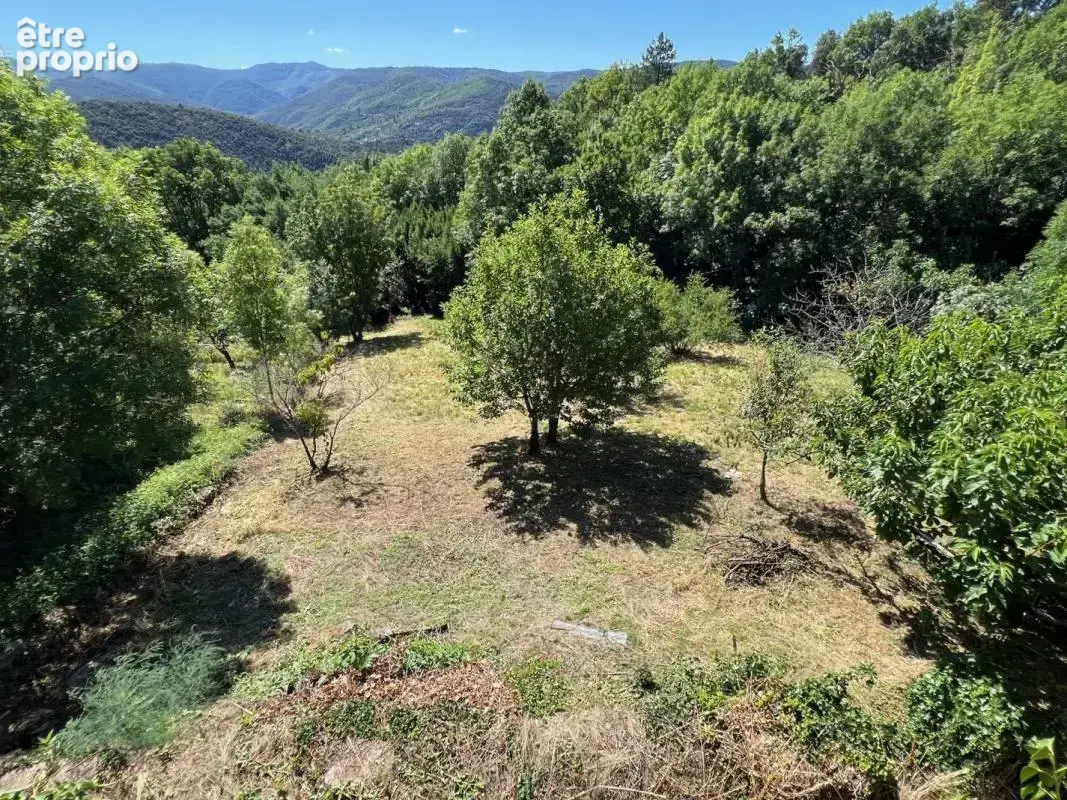 Maison 4 pièces 70 m² à vendre à Saint-Vincent-D'olargues (34390) - photo 3