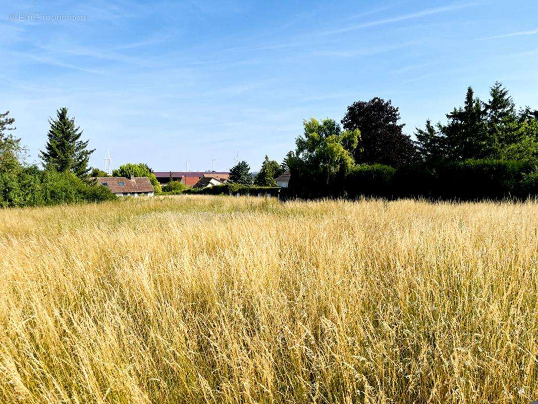 Terrain à LES GRANDES-CHAPELLES