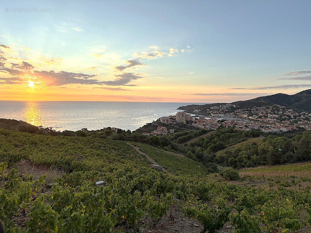 Maison à BANYULS-SUR-MER