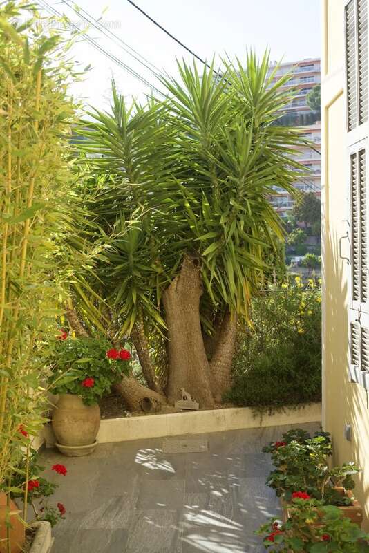 Appartement à MENTON