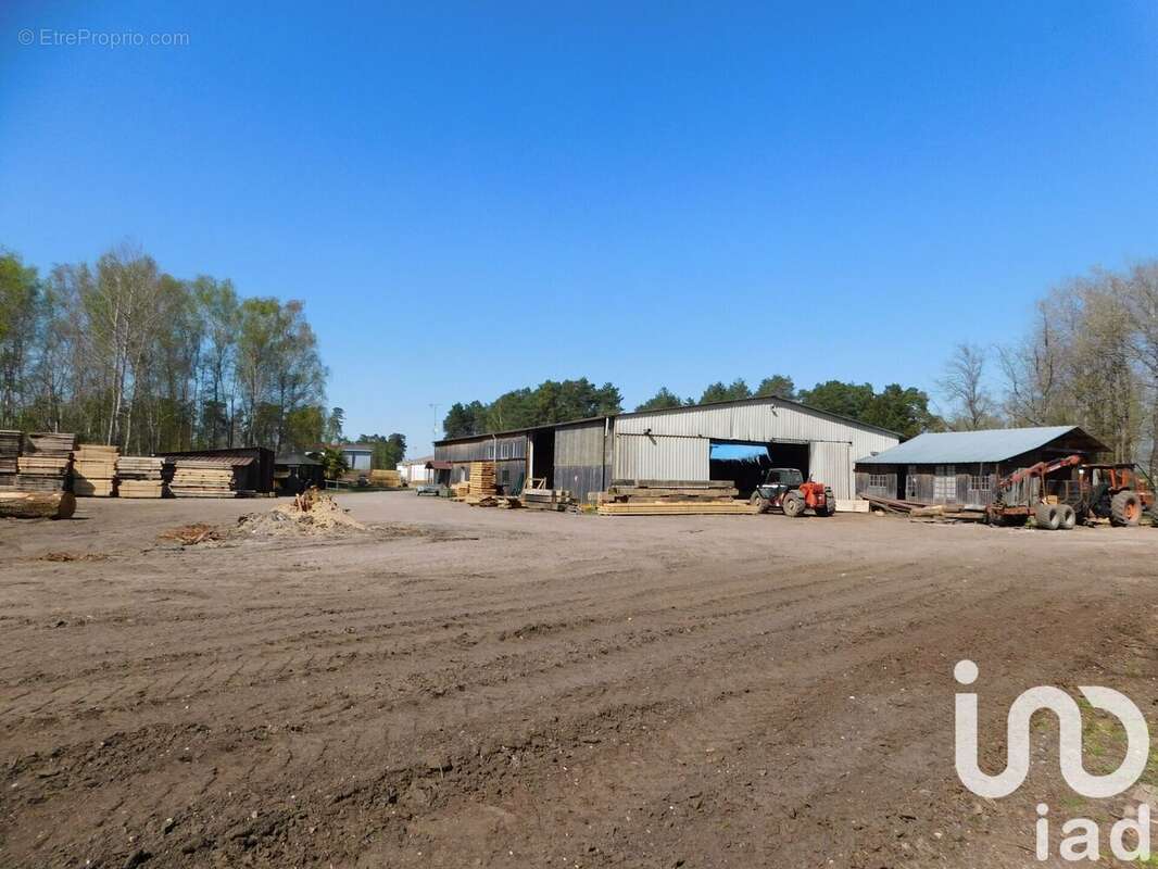 Photo 3 - Maison à SALBRIS