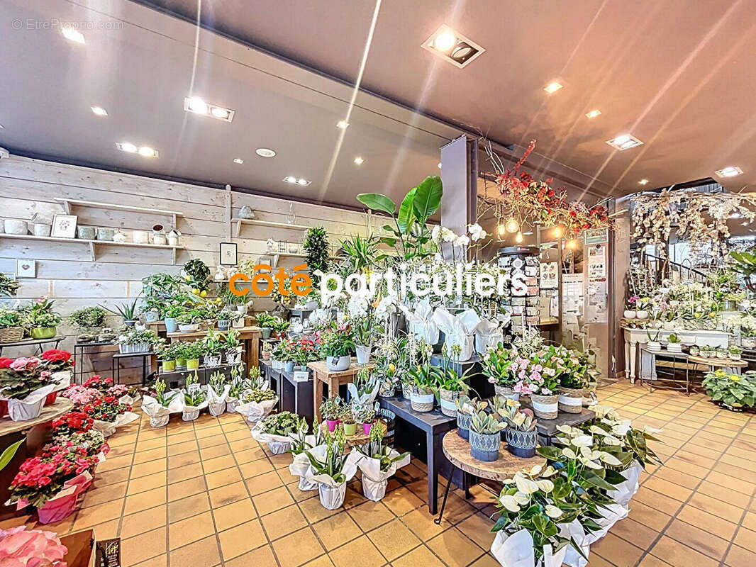 Commerce à LA CHAPELLE-D&#039;ARMENTIERES