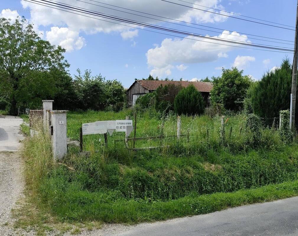 Photo 1 - Terrain à SAINT-SULPICE-ET-CAMEYRAC