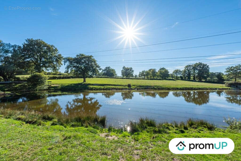Terrain à SAINT-LAURENT-D'ANDENAY