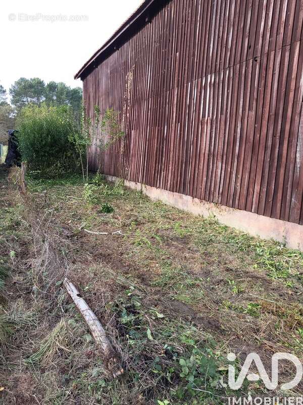 Photo 2 - Maison à BAZAS