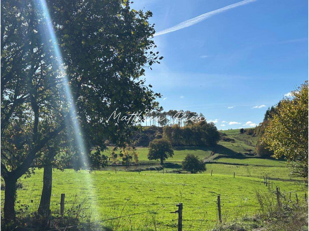 Maison à SAINT-ETIENNE-DE-FURSAC