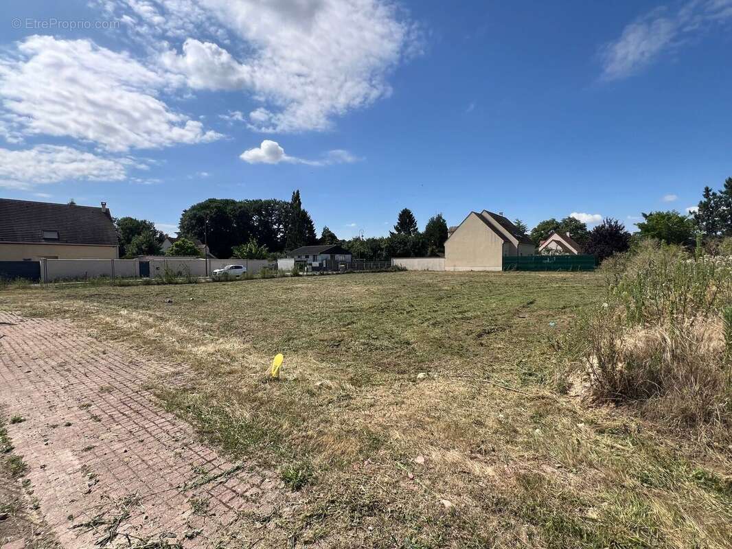 Photo 2 - Terrain à MAULE