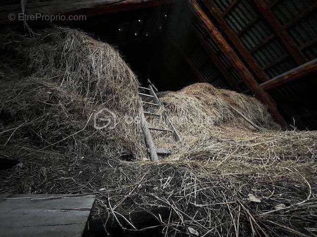 Maison à SAINT-ETIENNE-DE-CUINES