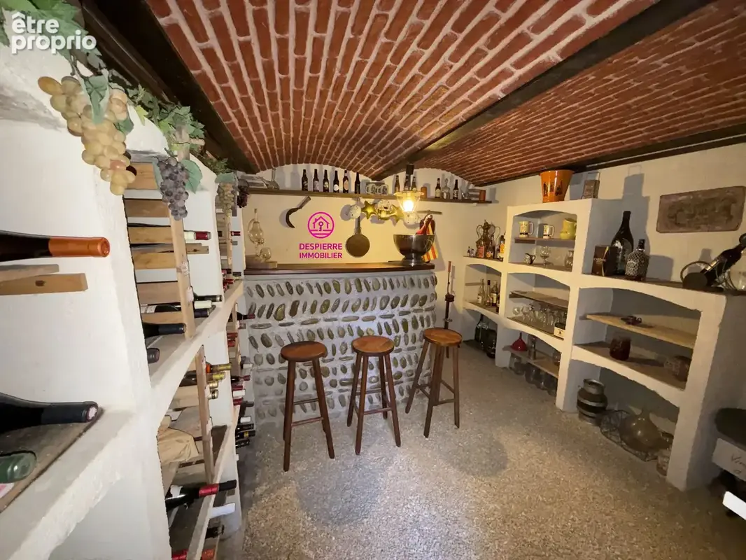 PEAGE DE ROUSSILLON - MAISON - 5 CHAMBRES - 160m2 habitable 1400m2 terrain - photo 13