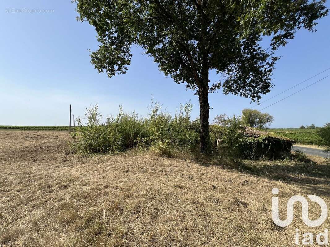 Photo 9 - Terrain à BELLEBAT