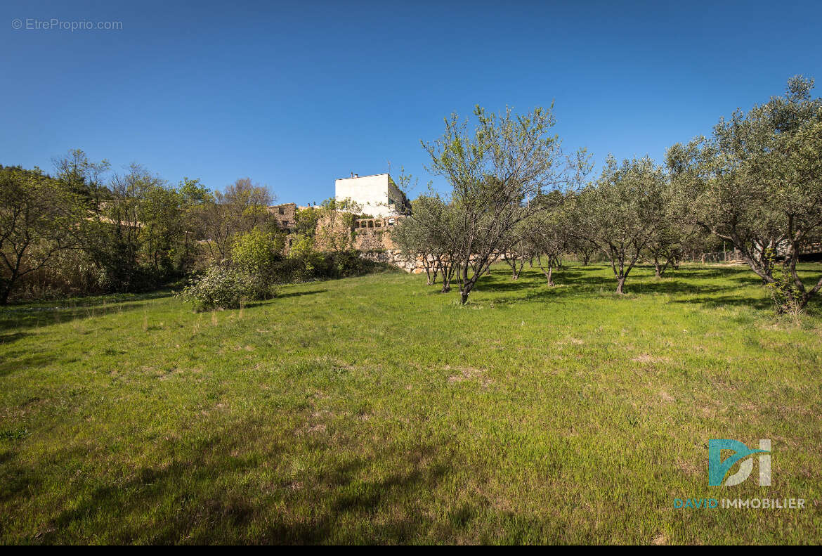 Terrain constructible - photo 4