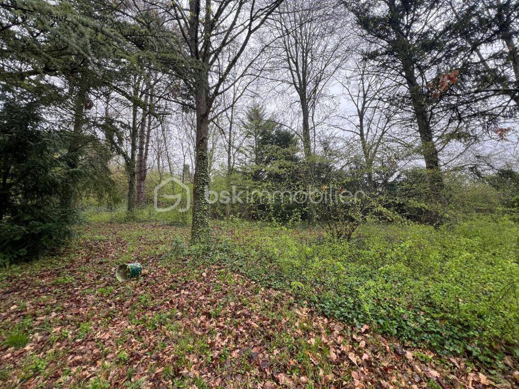 Terrain à MEREVILLE