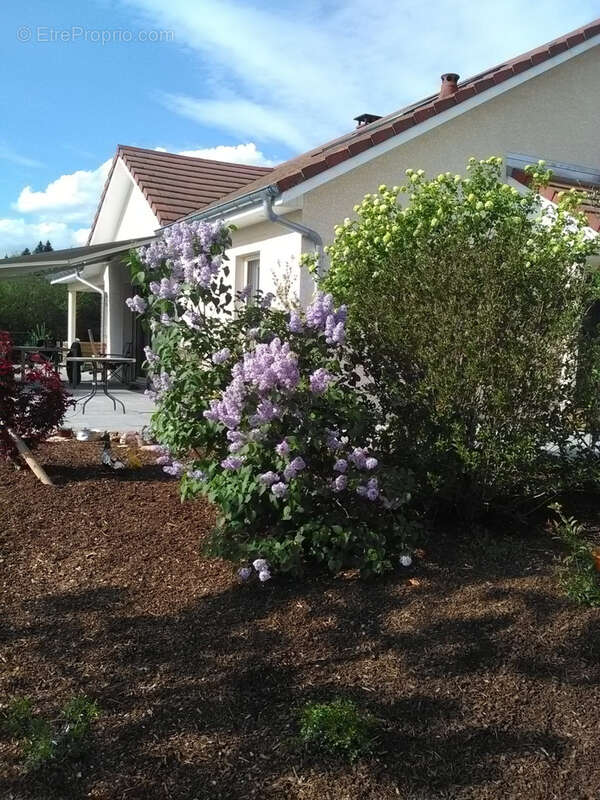 Maison à FONTAINE-LES-CLERVAL