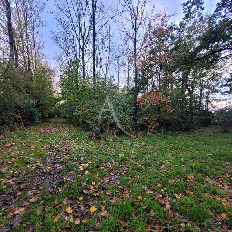 Terrain à NIEUL-LE-DOLENT