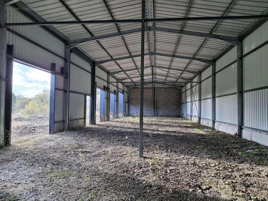 Terrain à LARUSCADE