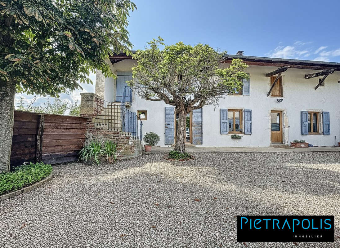 Maison à SAINT-ETIENNE-SUR-CHALARONNE