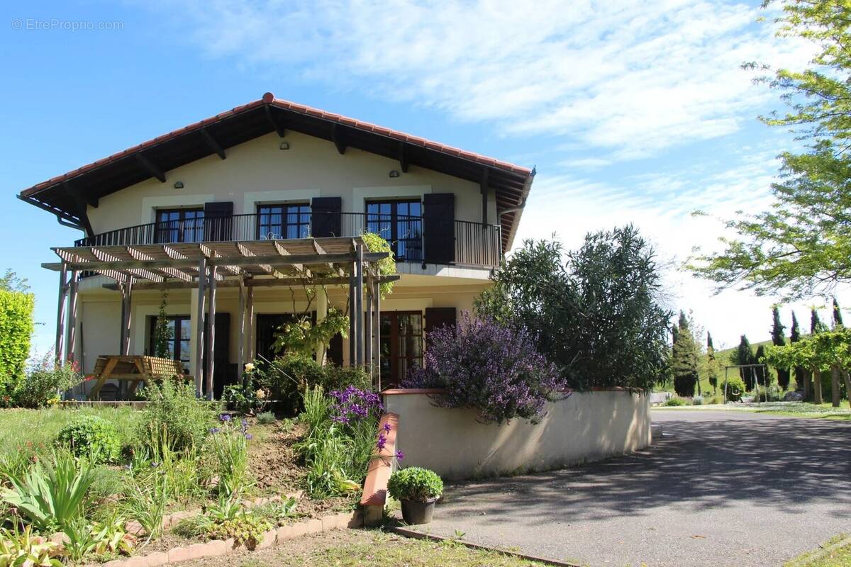 Maison à MONTESQUIEU-VOLVESTRE