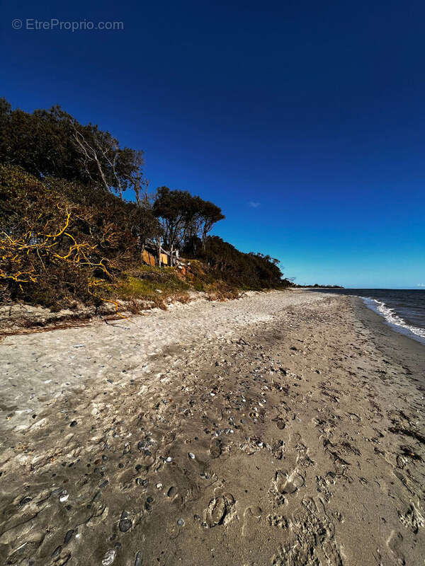 Terrain à POGGIO-MEZZANA