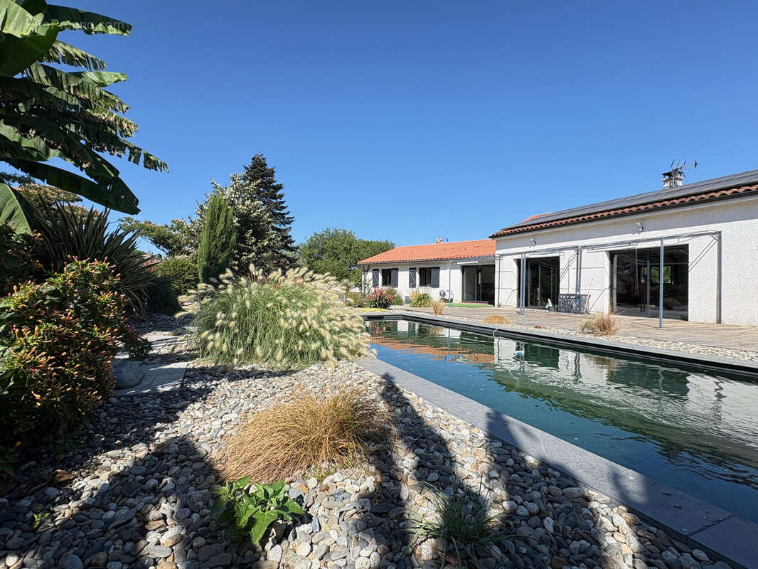 Maison T5 plain pied piscine FONSORBES 31470 - photo 4