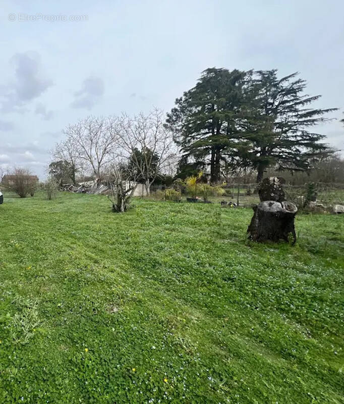 Terrain à PORTET-SUR-GARONNE