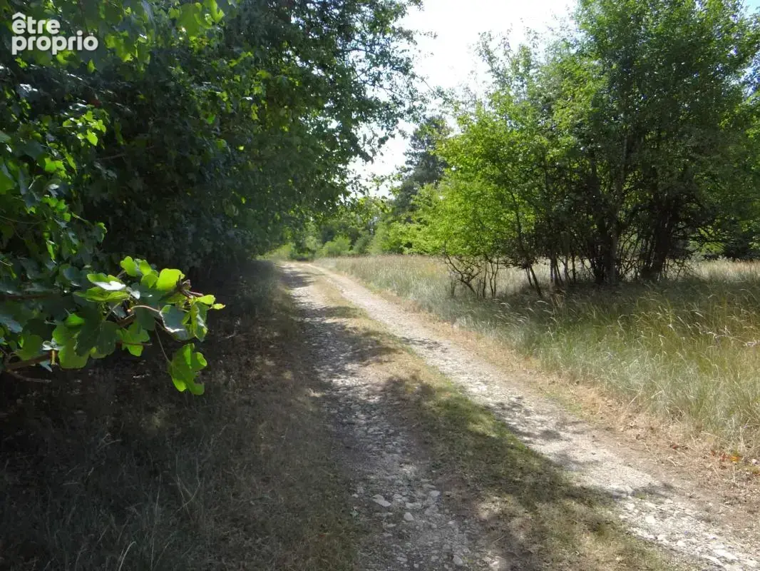 Petit Paradis ! (52) - photo 15