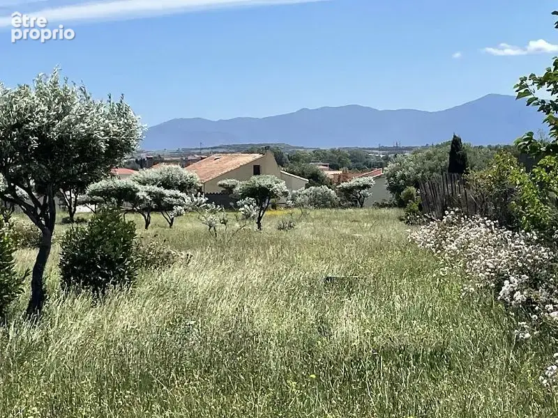 Terrain 614 m² à vendre à Saint-Esteve (66240) - photo 6