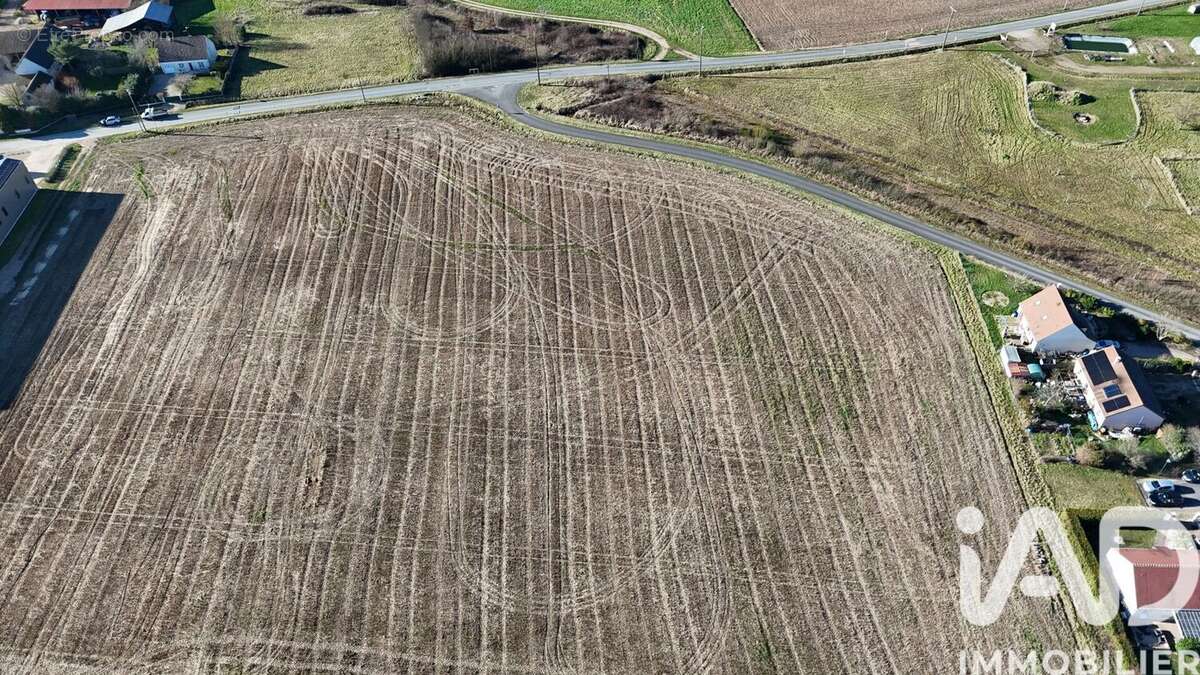Photo 3 - Terrain à SAINT-PERE-SUR-LOIRE