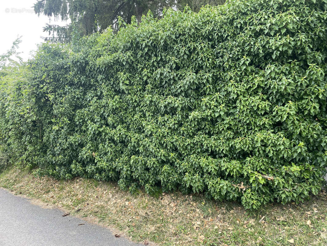 Terrain à SAINTE-GENEVIEVE