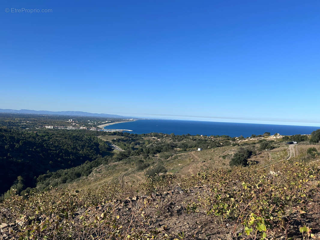 Terrain à COLLIOURE