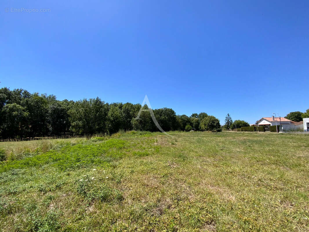 Terrain à SAINT-CIERS-DU-TAILLON
