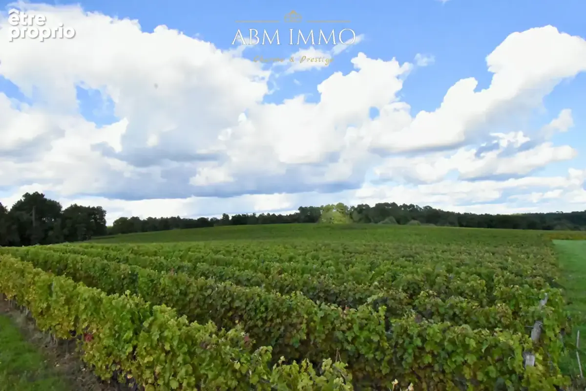 Domaine viticole - appellation prestigieuse - photo 2