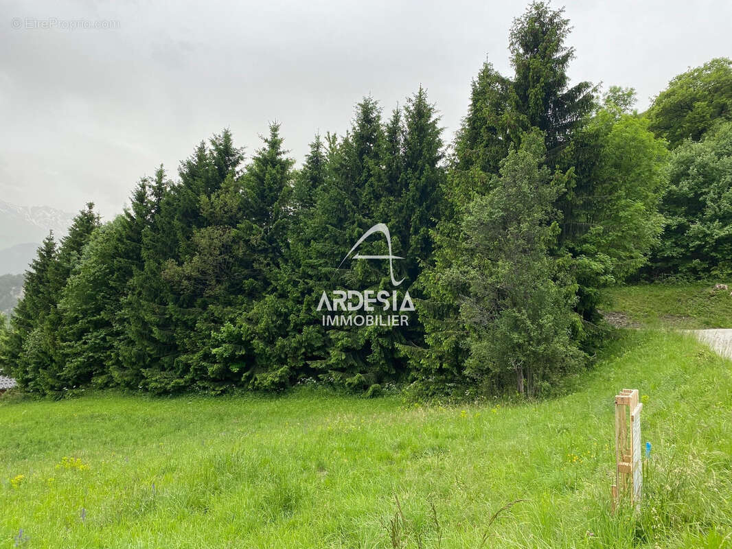 Terrain à JARRIER