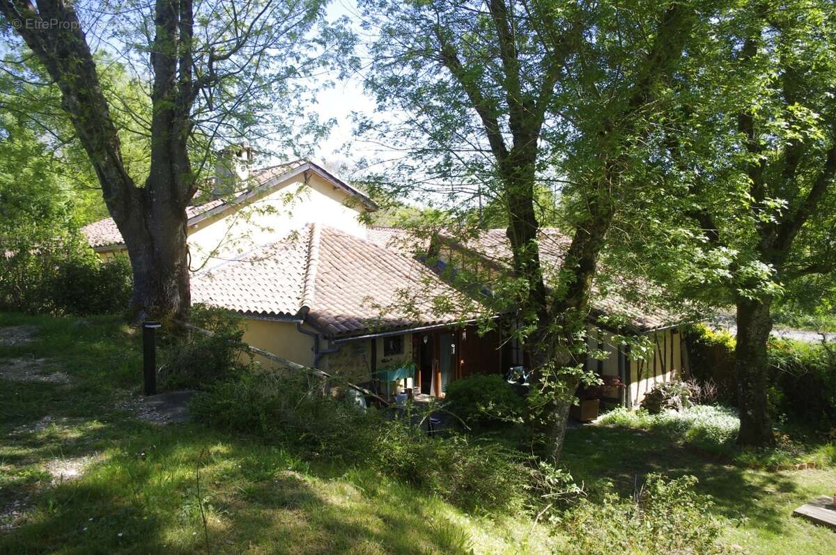 à VENDRE  proche Aignan  propriété de charme  sur 3646 m² de terrain avec piscine et Gîte séparé - photo 7
