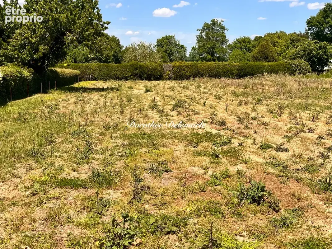 Terrain à vendre  SAINT MARD (17)Grand terrain constructible de 2075 m² – Environnement calme avec arbres fruitier - photo 3