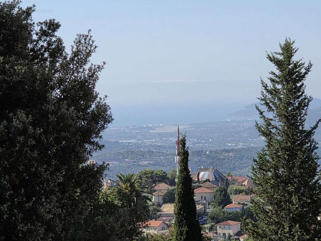 Exclusivite - grasse - photo 2