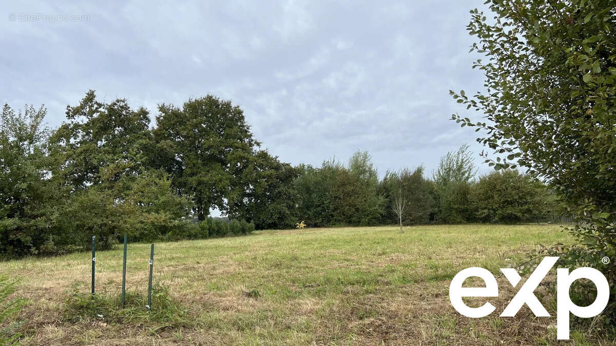 Terrain à SAINT-ETIENNE-EN-BRESSE