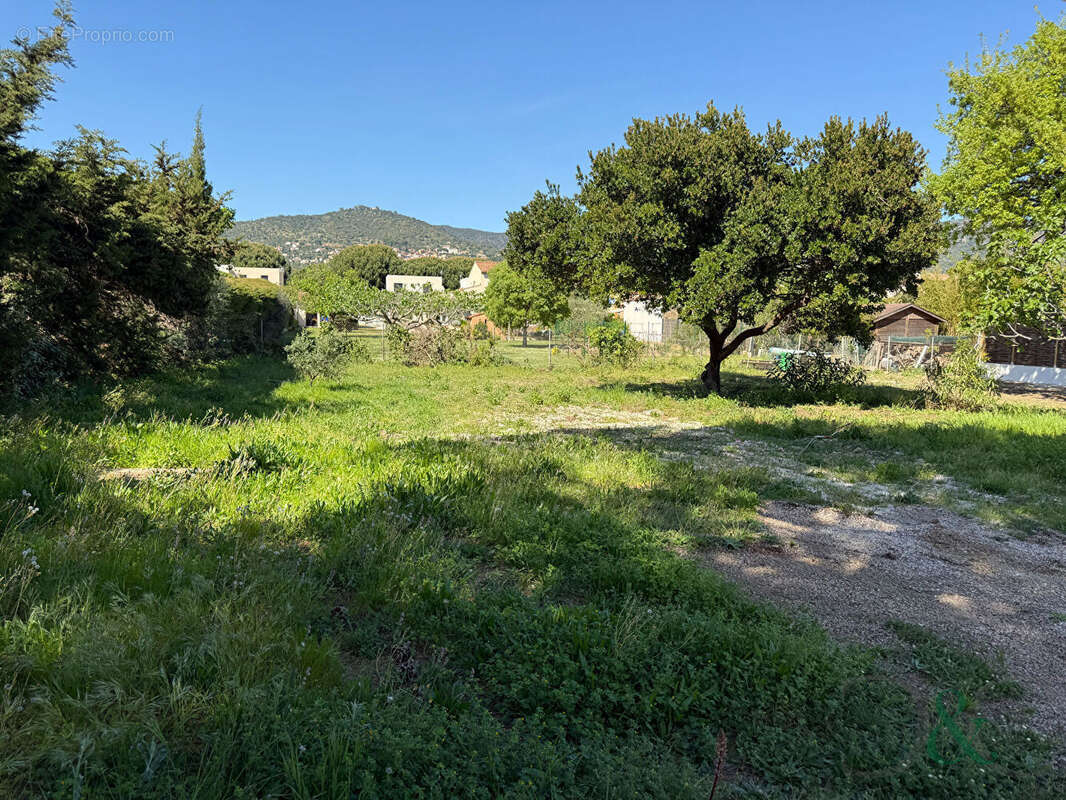 Terrain à BORMES-LES-MIMOSAS
