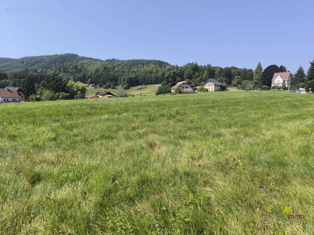 Appartement à LE HOHWALD