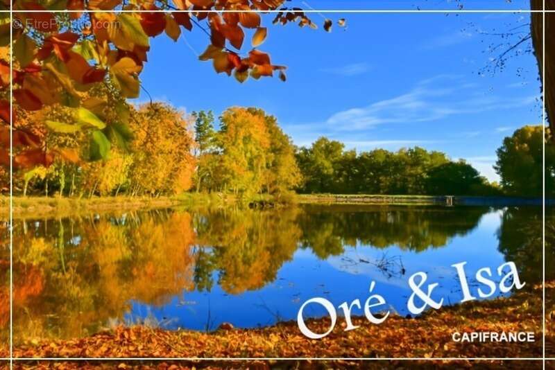 Terrain à SAINT-DESIRE