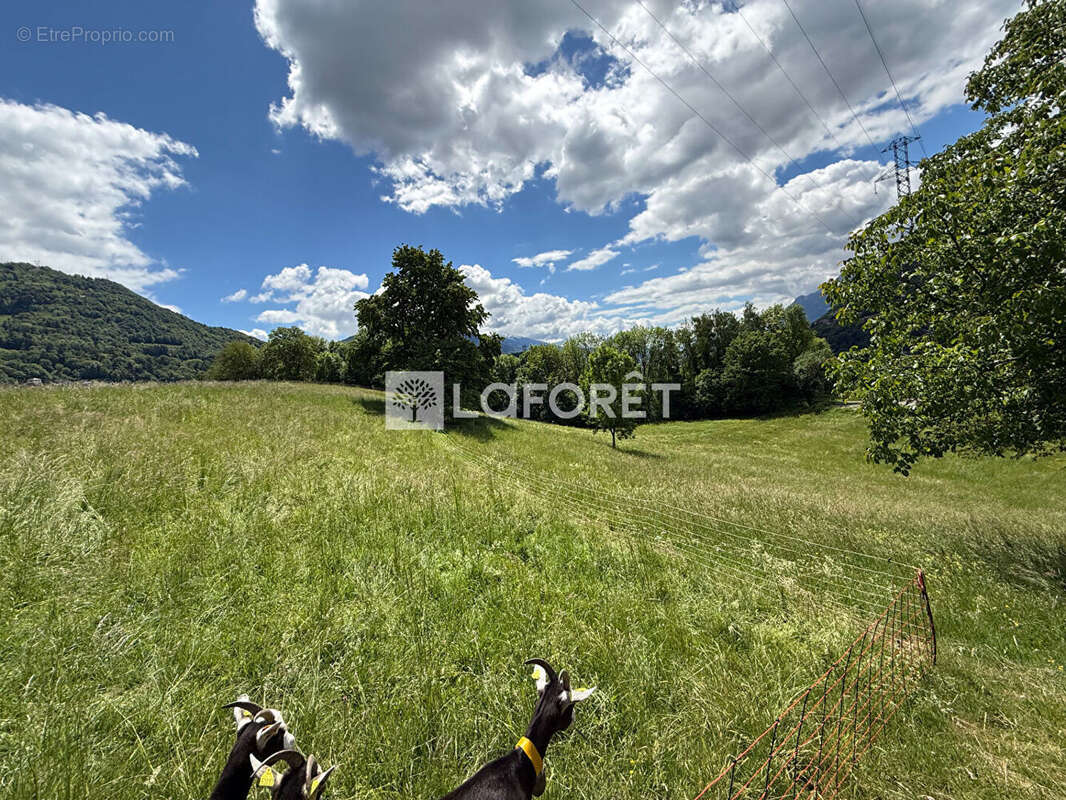 Terrain à CESARCHES