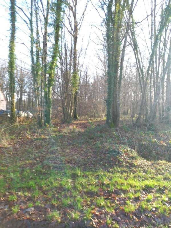 Terrain à SAINT-HILAIRE-LES-ANDRESIS