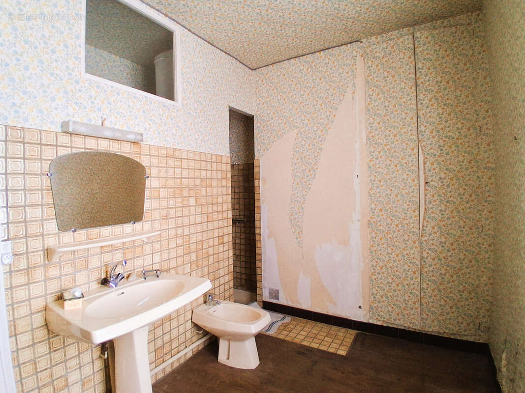 Maison à OUZOUER-SUR-TREZEE