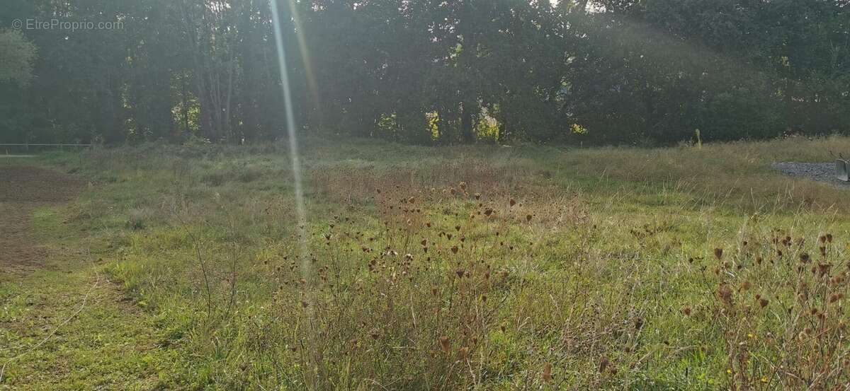 Terrain à SAINT-YORRE