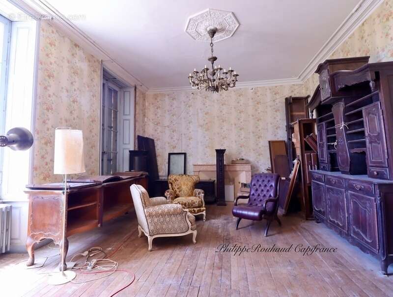 Château du XVIIᵉ siècle à vendre, 17 pièces, FOUSSAIS PAYRE (85) - photo 5