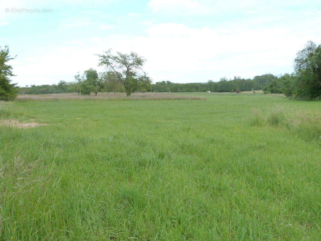 Terrain à LAUBACH